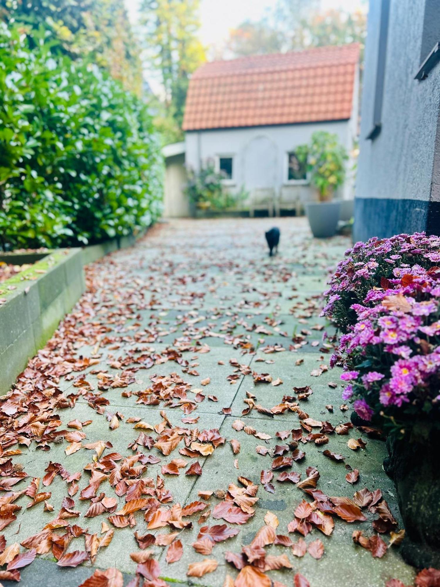 B&B In De Aap Gelogeerd Apeldoorn Luaran gambar