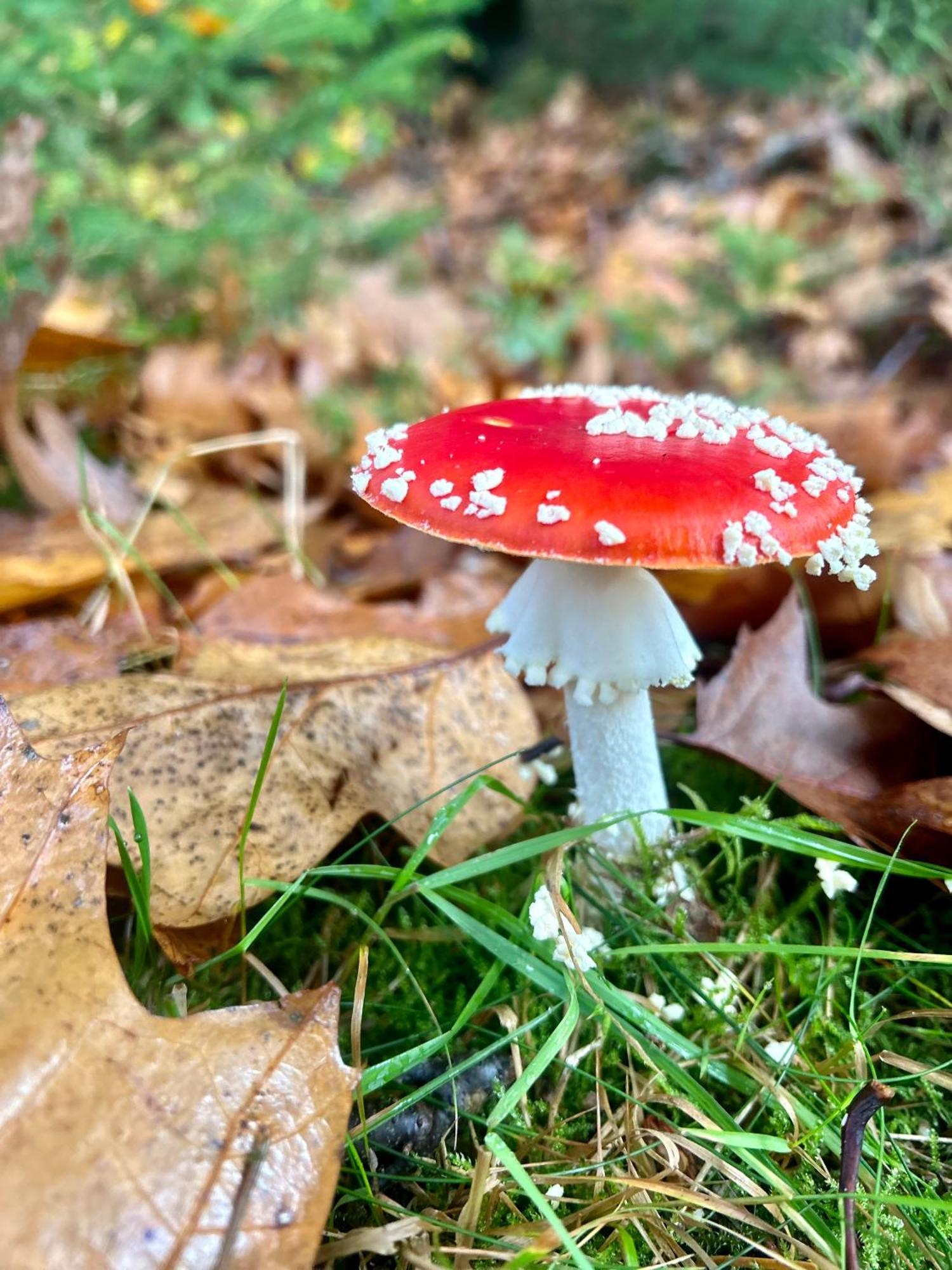 B&B In De Aap Gelogeerd Apeldoorn Luaran gambar